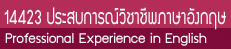 14423 Professional Experience in English