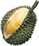 http://region6.dost.gov.ph/images/stories/durian.jpg